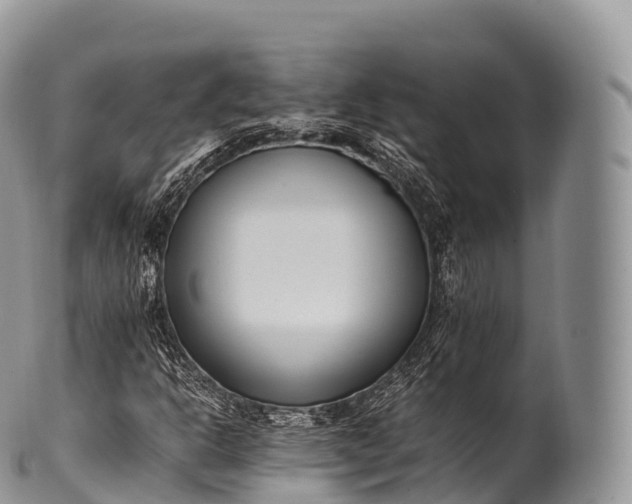 X0000100381302200806201641