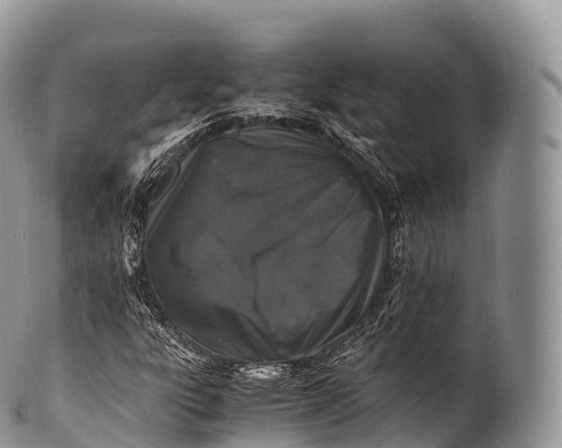 X0000100381303200806201641