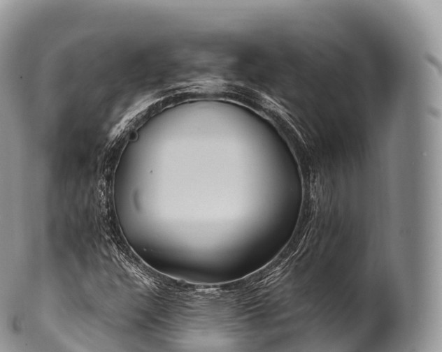 X0000100381304200806201641