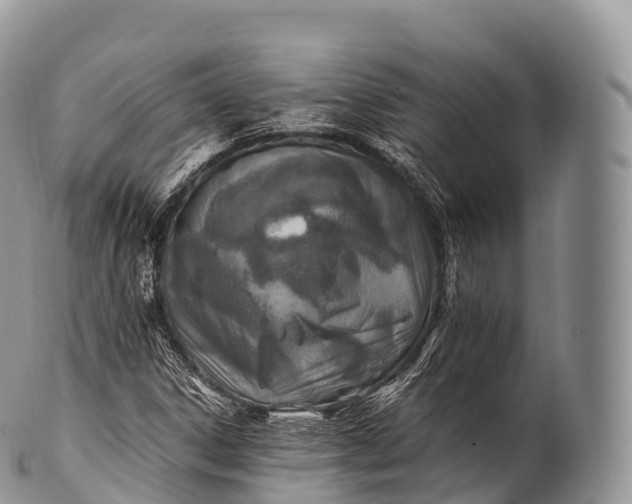 X0000100381306200806201641