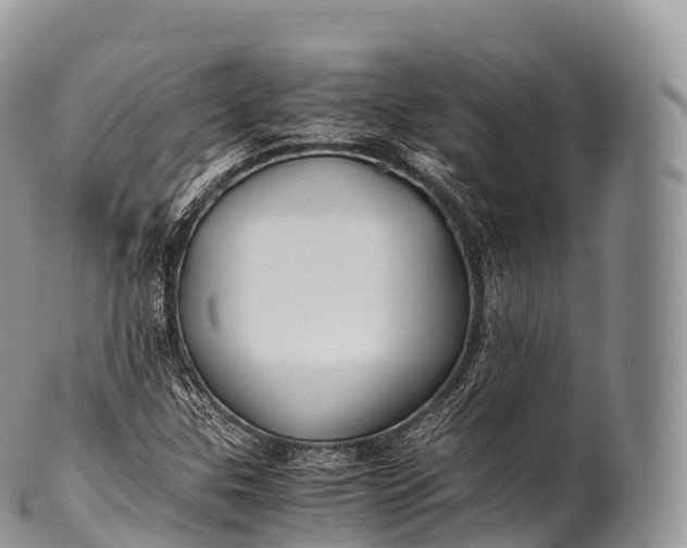 X0000100381307200806201641