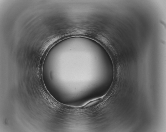 X0000100381308200806201641