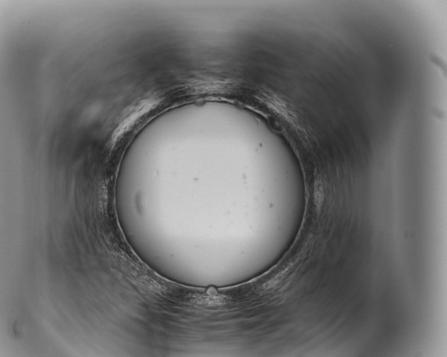 X0000100381309200806201641