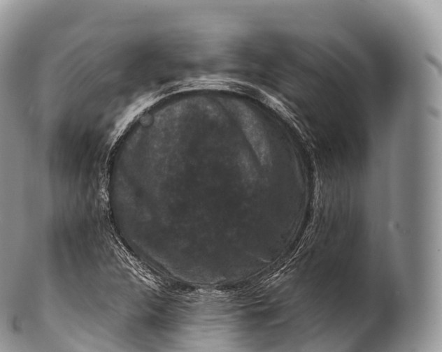 X0000100381312200806201641