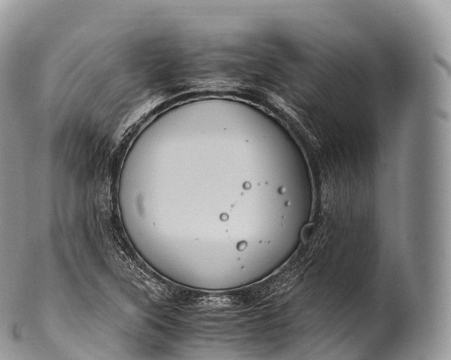 X0000100381315200806201641