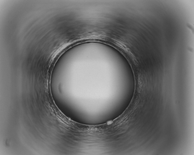 X0000100381316200806201641