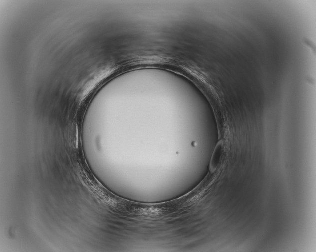 X0000100381317200806201641