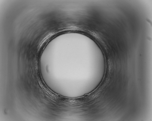 X0000100381318200806201641