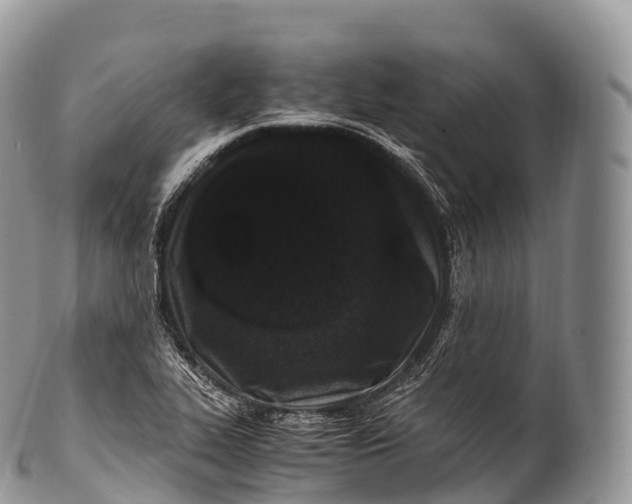 X0000100381319200806201641