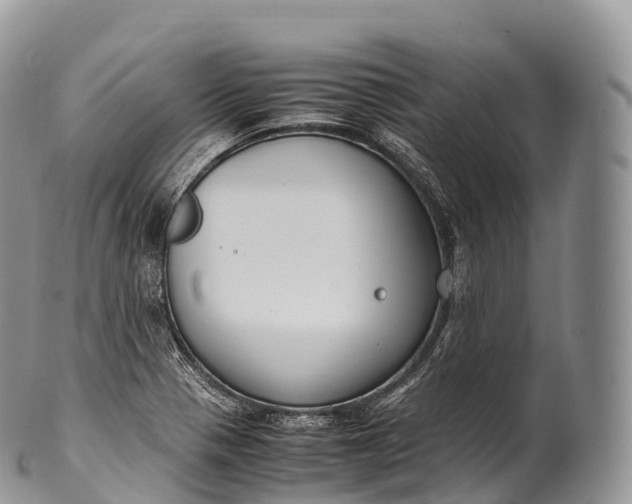 X0000100381321200806201641