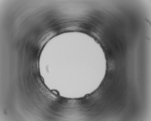 X0000100381322200806201641