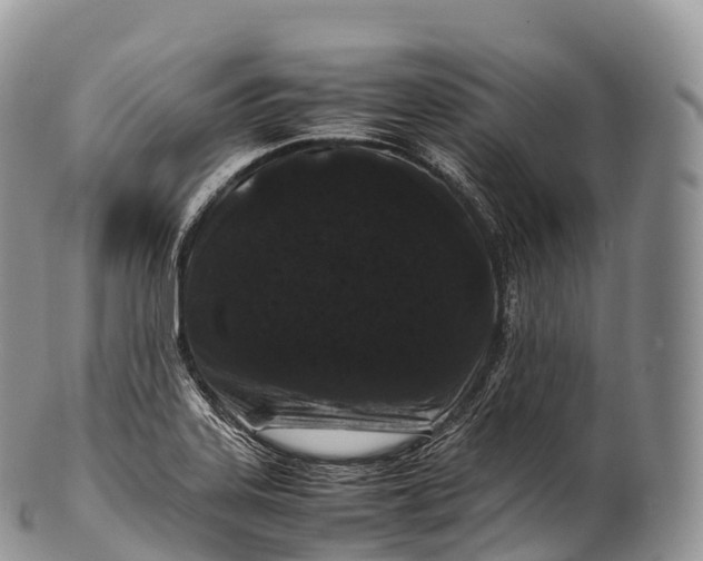 X0000100381323200806201641
