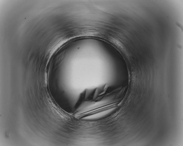 X0000100381324200806201641