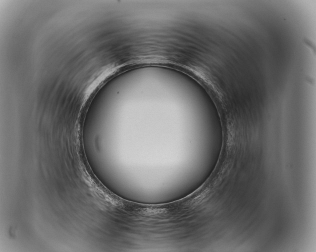 X0000100381325200806201641