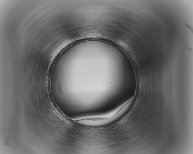 X0000100381326200806201641