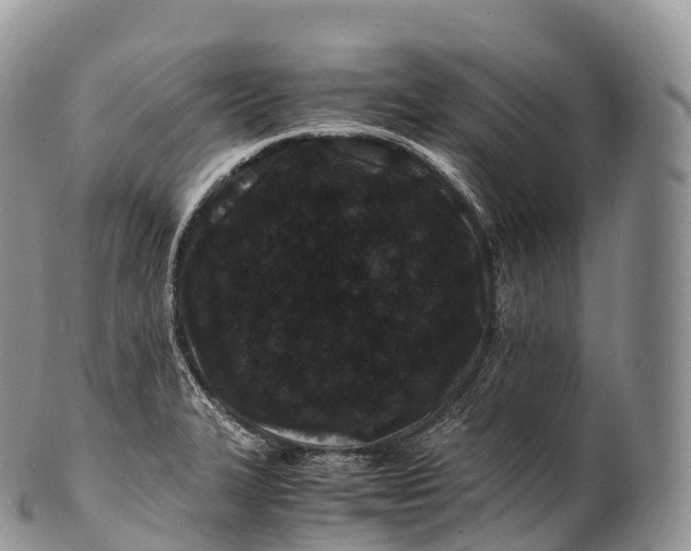 X0000100381327200806201641