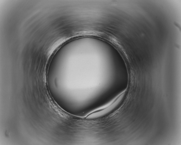 X0000100381328200806201641