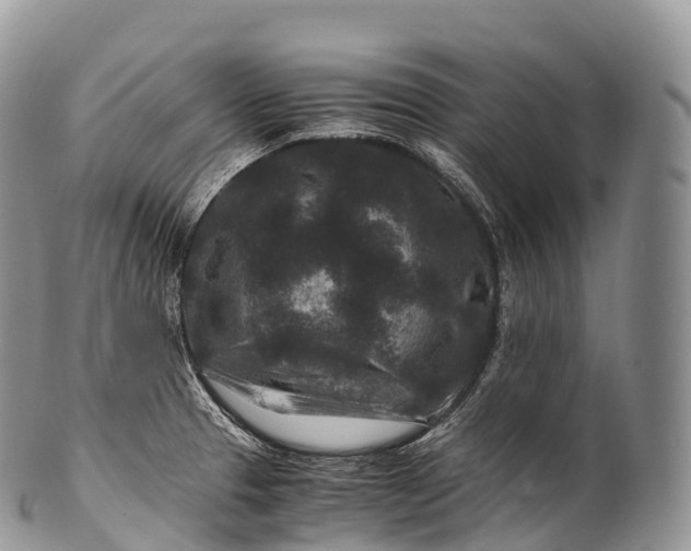 X0000100381329200806201641