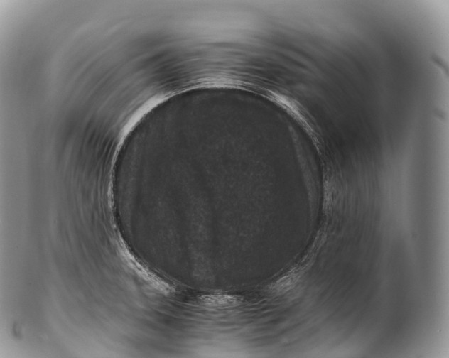 X0000100381331200806201641
