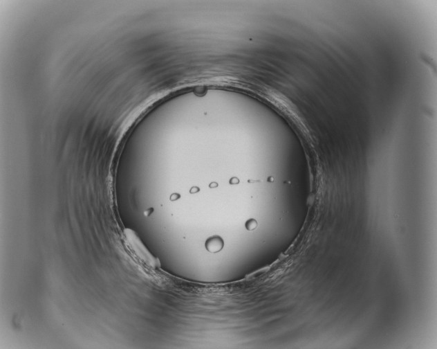 X0000100381332200806201641