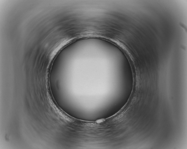 X0000100381333200806201641
