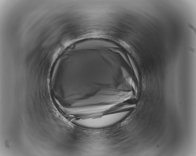 X0000100381334200806201641