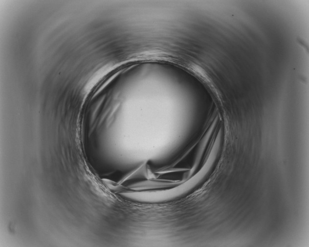 X0000100381336200806201641