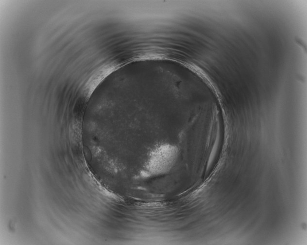 X0000100381337200806201641