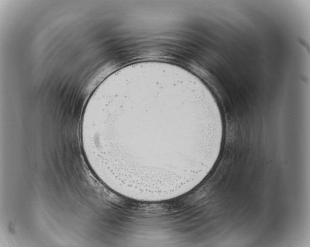 X0000100381338200806201642