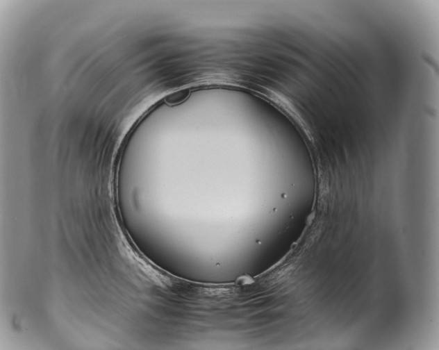 X0000100381339200806201642