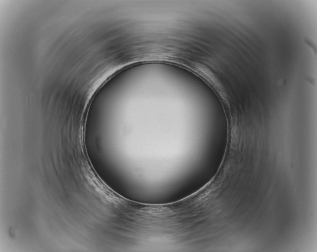 X0000100381340200806201642