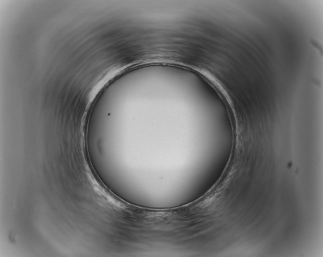 X0000100381341200806201642