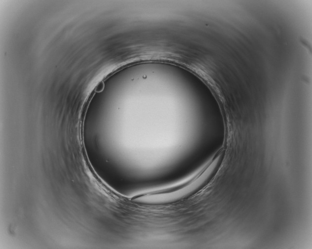X0000100381342200806201642