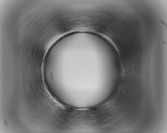 X0000100381343200806201642