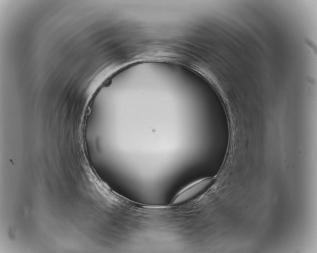 X0000100381344200806201642