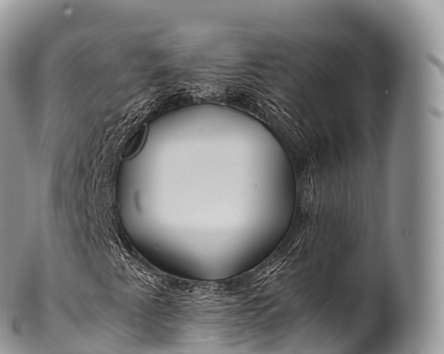 X0000100381345200806201641