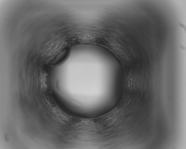 X0000100381346200806201641