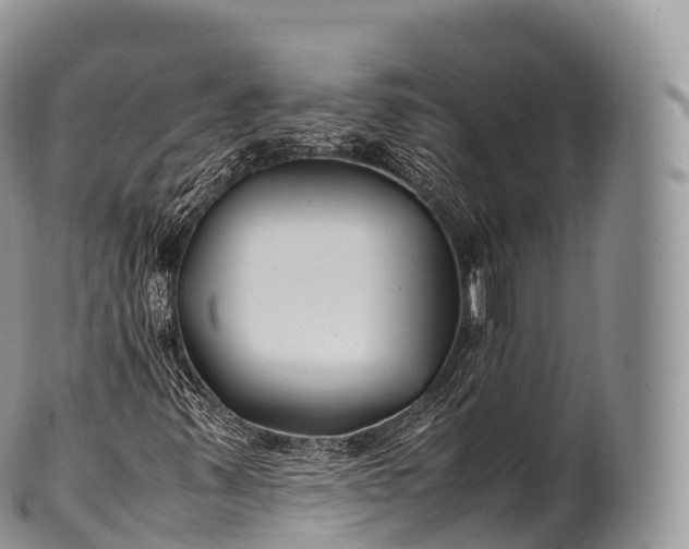 X0000100381347200806201641