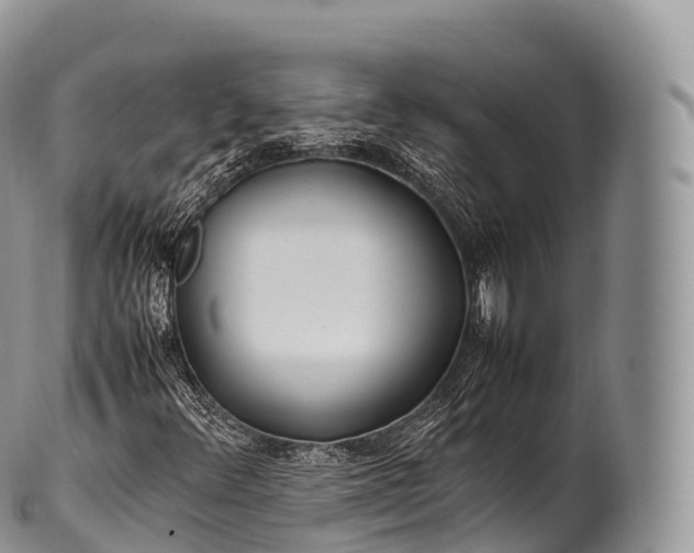 X0000100381348200806201641
