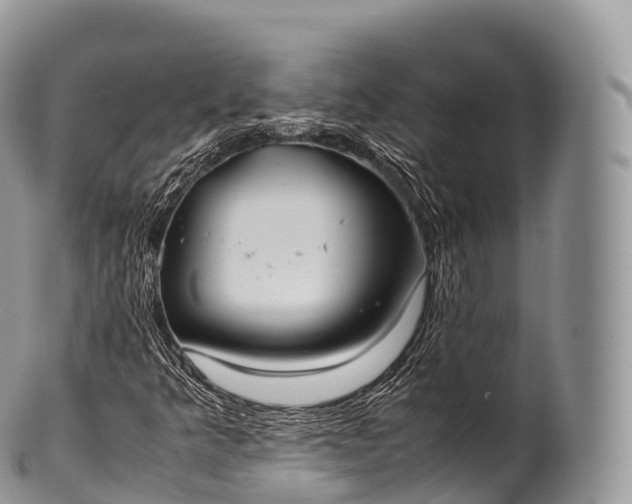 X0000100381349200806201641