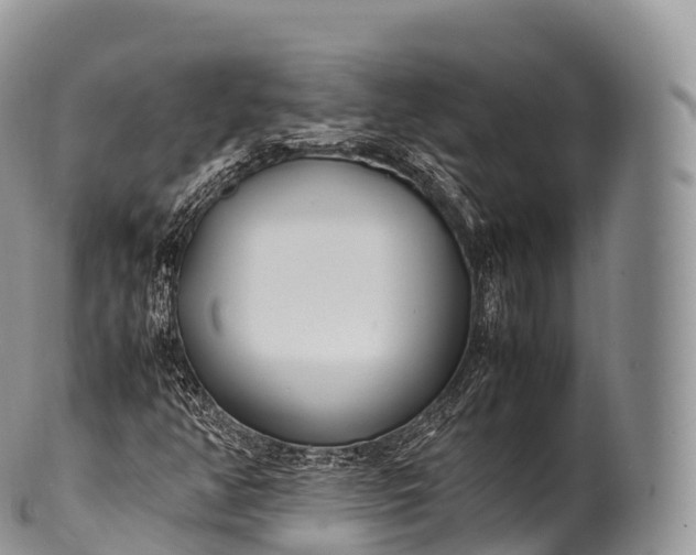 X0000100381350200806201641