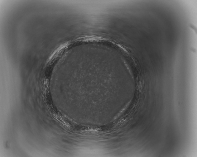 X0000100381351200806201641