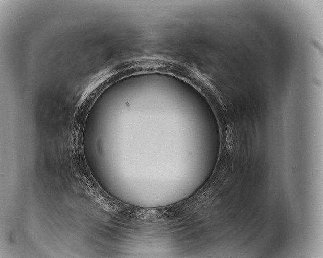 X0000100381352200806201641