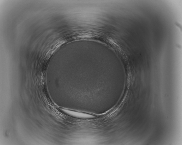 X0000100381353200806201641