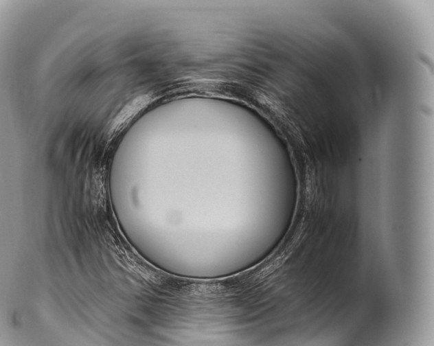 X0000100381354200806201641