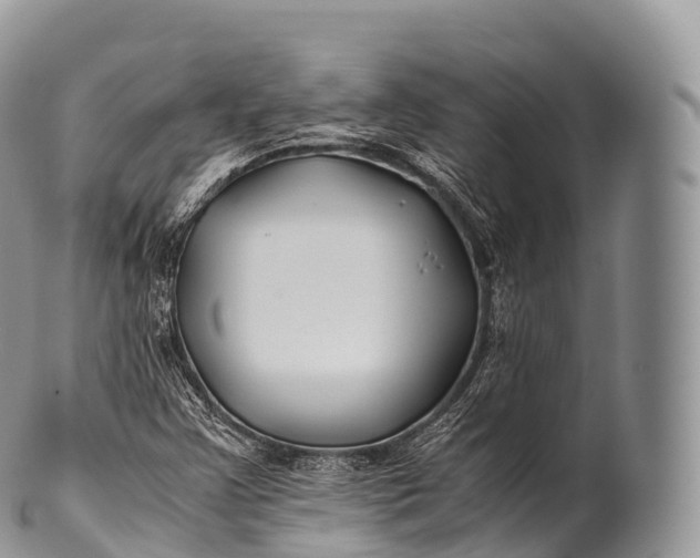 X0000100381355200806201641