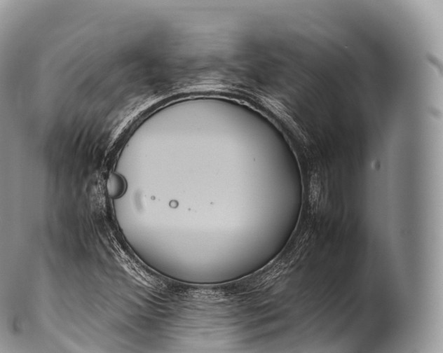 X0000100381356200806201641