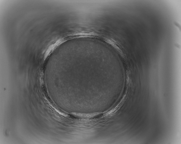 X0000100381357200806201641