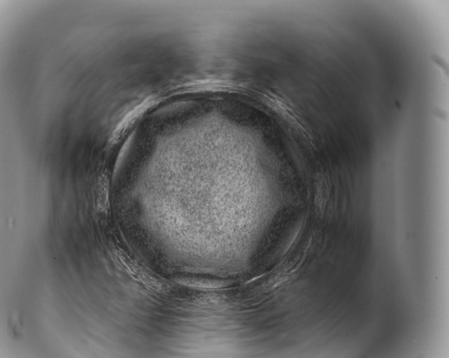 X0000100381358200806201641