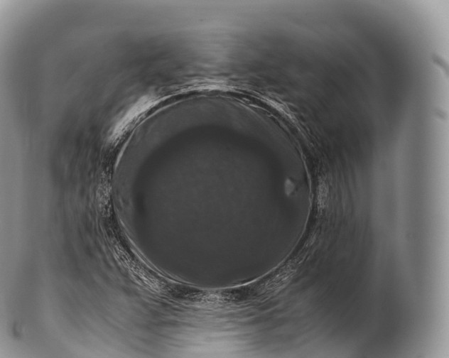 X0000100381359200806201641